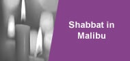 shabbat promo.jpg